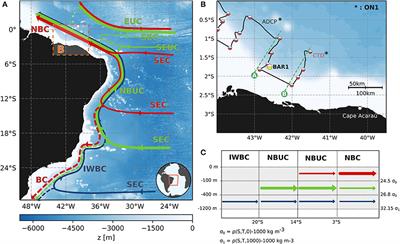 The Barreirinhas Eddies: Stable Energetic Anticyclones in the Near-Equatorial South Atlantic